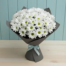 Букет цветов из:  Хризантемы в Губкинском