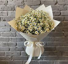 Букет цветов из:  Ромашки #REPLACE_PRED# Губкинском