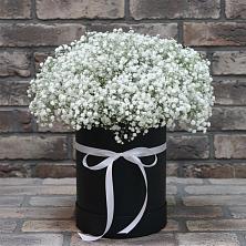 Цветочная композиция из Гипсофила в шляпной коробке в Губкинском