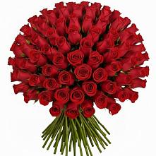 Букет Красные розы Чери Лав в Губкинском